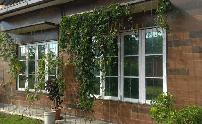 THE BEST QUALITY TINTED HOUSE PUCHONG HARTAMAS