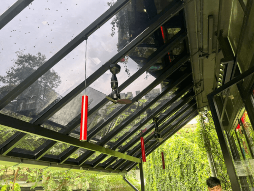 TINTED SOLAR TINT FILM BANDAR BUKIT PUCHONG